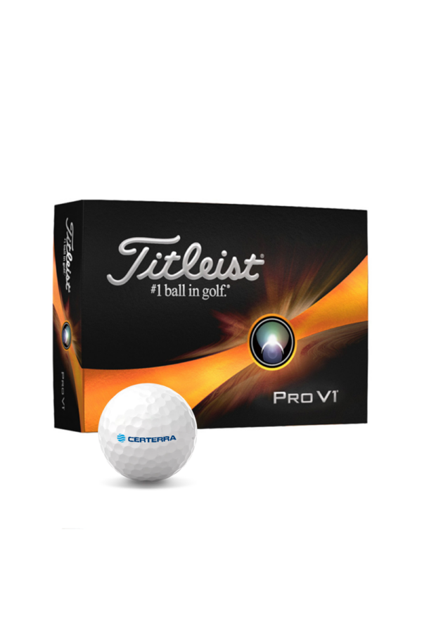 TITLEIST PRO V1 - Dozen