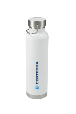 Insulated Bottle 22oz